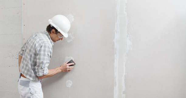 Best Fire-Damaged Drywall Repair  in Stone Park, IL