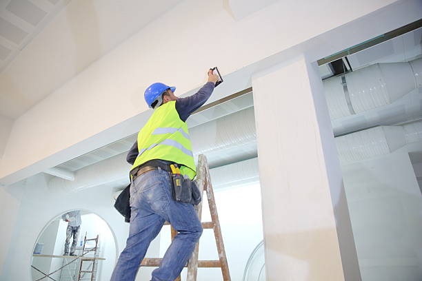 Best Ceiling Drywall Installation  in Stone Park, IL